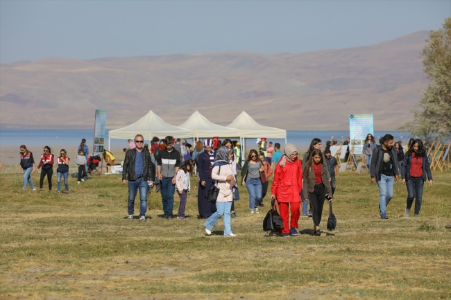 Van'da Doğu'nun Kanatları Van Erçek Gölü 8. Flamingo Festivali